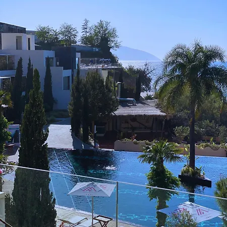 Luxury - Parking, Pool And Access