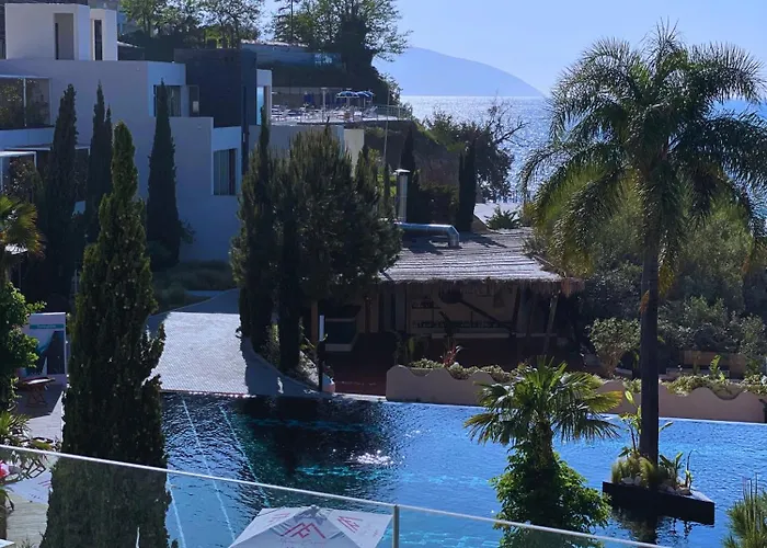 Luxury - Parking, Pool And Access